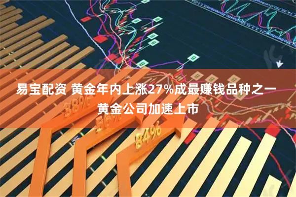 易宝配资 黄金年内上涨27%成最赚钱品种之一 黄金公司加速上市