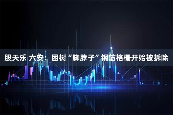 股天乐 六安：困树“脚脖子”钢筋格栅开始被拆除