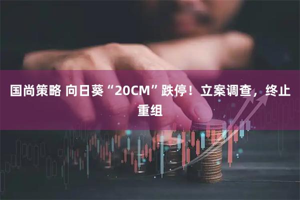 国尚策略 向日葵“20CM”跌停！立案调查，终止重组