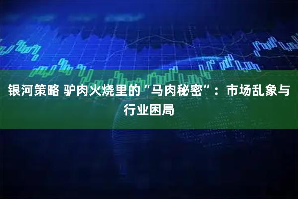 银河策略 驴肉火烧里的“马肉秘密”：市场乱象与行业困局