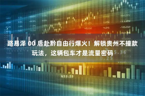 路易泽 00 后赴黔自由行爆火！解锁贵州不撞款玩法，这辆包车才是流量密码