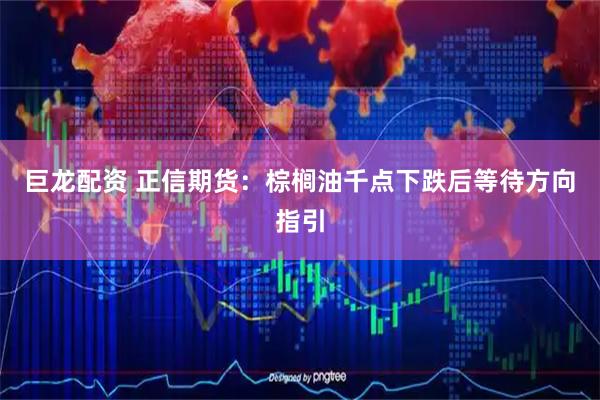 巨龙配资 正信期货：棕榈油千点下跌后等待方向指引